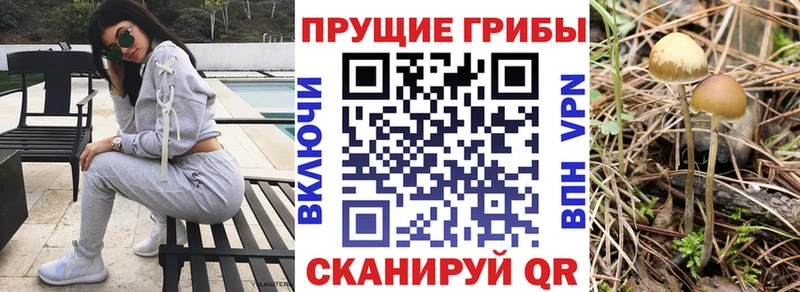 Галлюциногенные грибы Cubensis где продают наркотики Советский